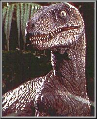 Velociraptor